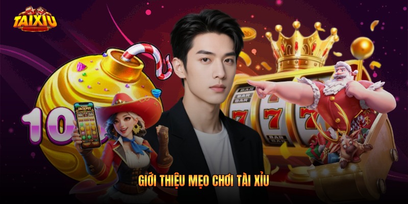 Giới thiệu mẹo chơi tài xỉu