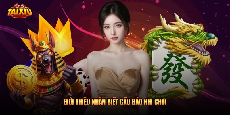 Giới thiệu nhận biết cầu đảo khi chơi