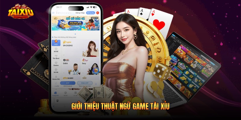 Giới thiệu thuật ngữ game tài xỉu